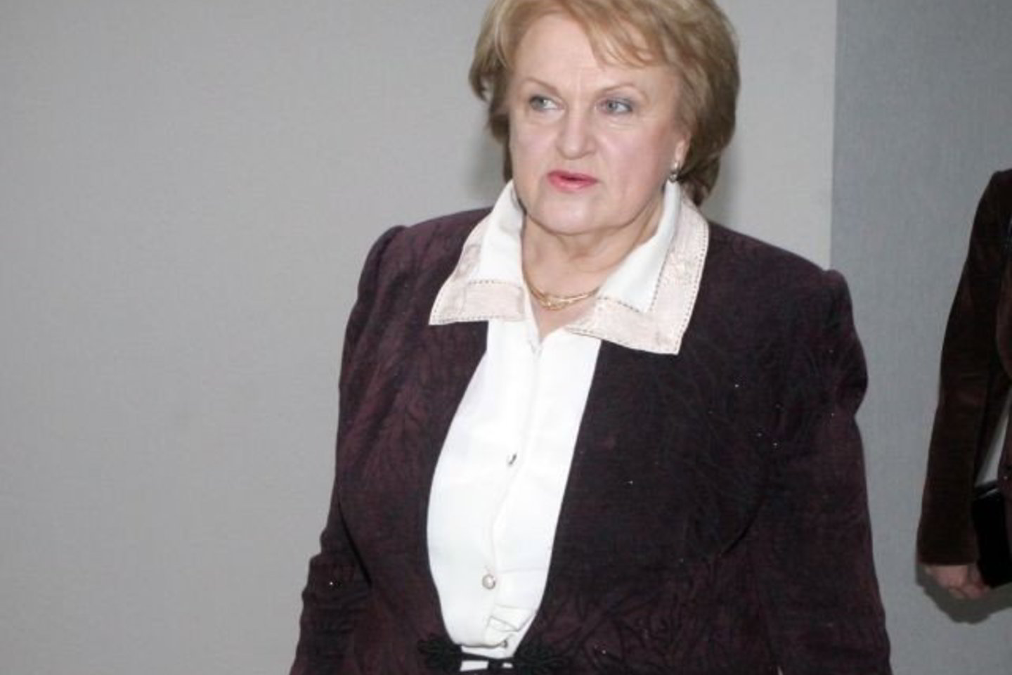 K.Prunskienei gali pritrūkti rinkėjų parašų.