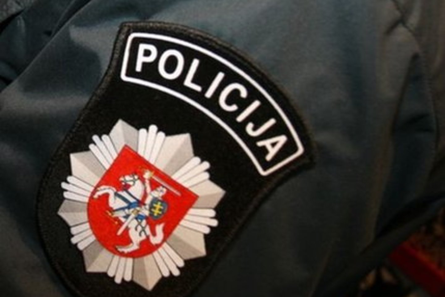 Moteris nedelsdama kreipėsi į policiją.