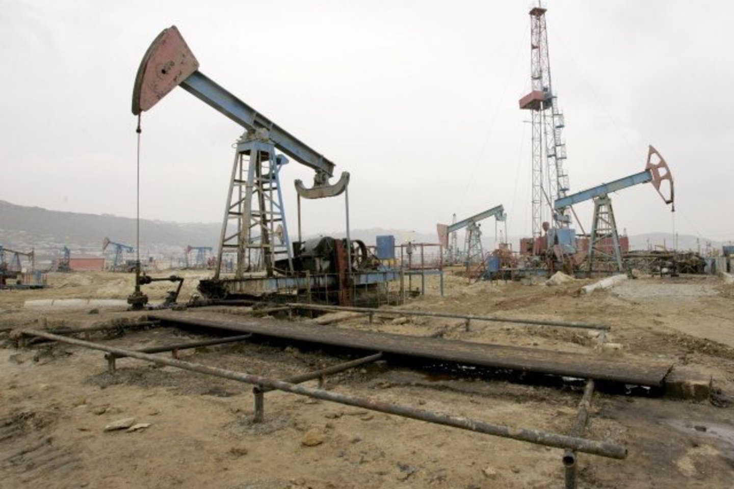 „Brent“ naftos barelio kaina padidėjo 80 centų iki 52,39 JAV dolerio.