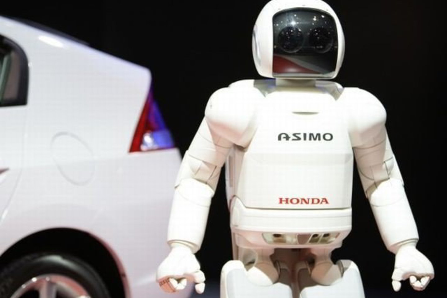 Japonijos automobilių gamintoja „Honda“ gamins automobilius šunų mylėtojams.