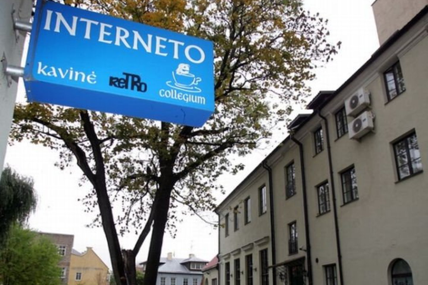 Interneto vartotojai dažniausiai susiduria su tokiomis problemomis, kaip kompiuteriniai virusai (70,2 proc.), ir nepageidaujami el. laiškai (53,4 proc.).