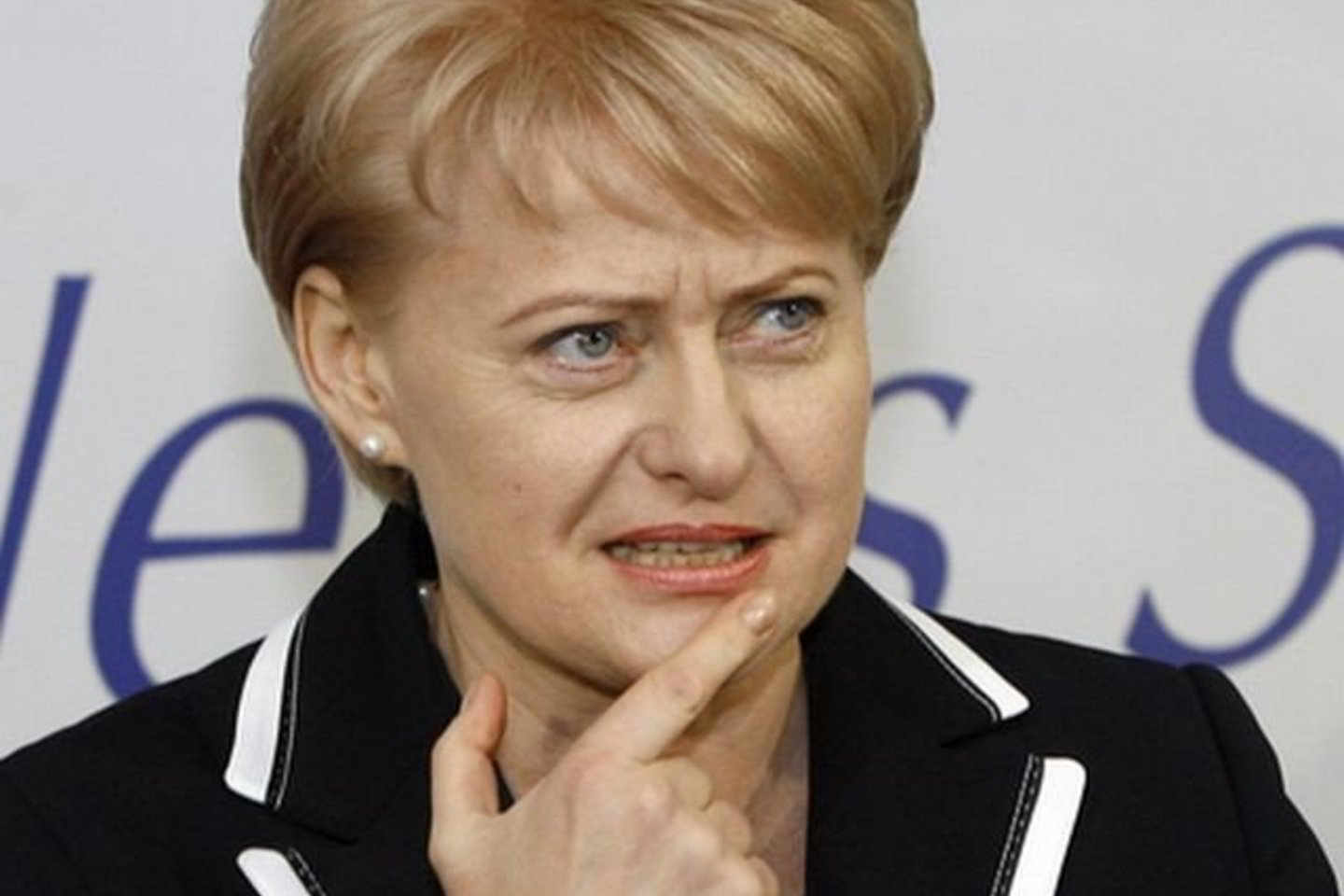 „Kai apvils, bus blogai. Visiems bus blogai“, - kalbėjo D.Grybauskaitė.