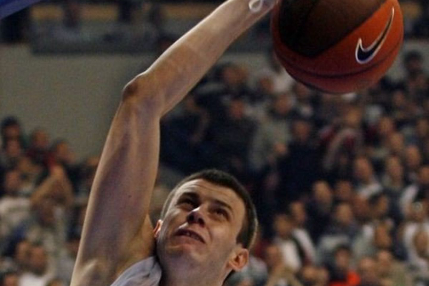 N.Veličkovičiaus talentas neliko nepastebėtas.