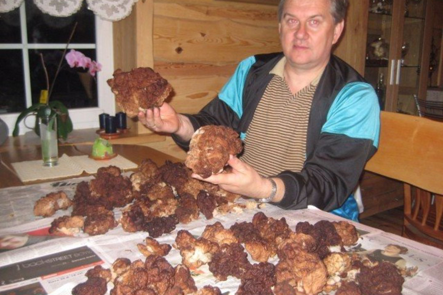 Prie Perlojos gyvenančiam V.Mikalauskui bobausių nereikia toli ieškoti - jų pridygsta prie namų.
