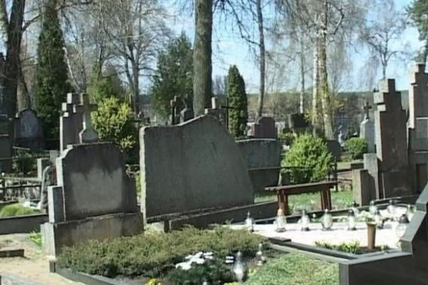 Pagal Lazdijų rajono savivaldybės administracijos organizuotą konkursą, Veisiejų miesto civilinėse kapinėse pjaunami medžiai, genimos jų šakos.