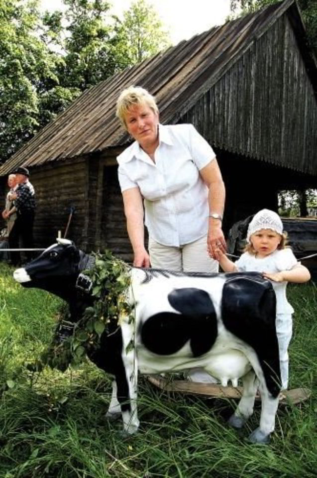 Taupumo sumetimais ūkininkė Vida Butkevičienė su anūkėle Marija į Sekminių šventę atsivedė netikrą karvę.