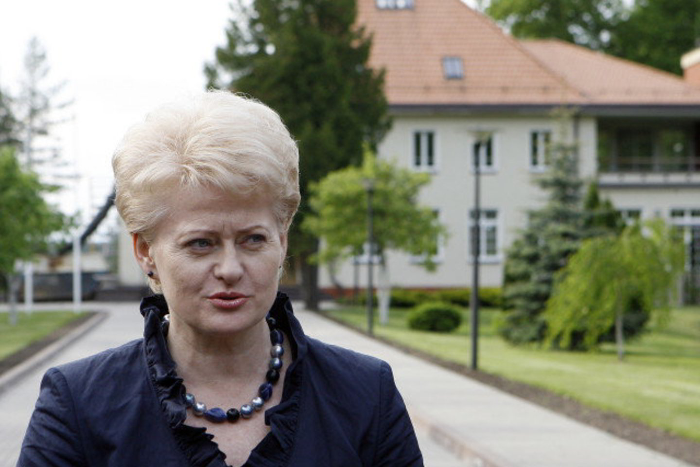 D.Grybauskaitė nesirengia kelti nei puotų, nei pobūvių.