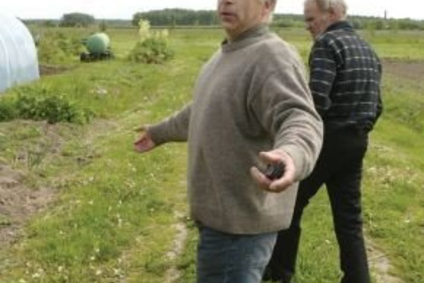 P.Sriubas teigia, kad kaskart atvykęs į sodybą randa ją nuniokotą karvuų bandos.