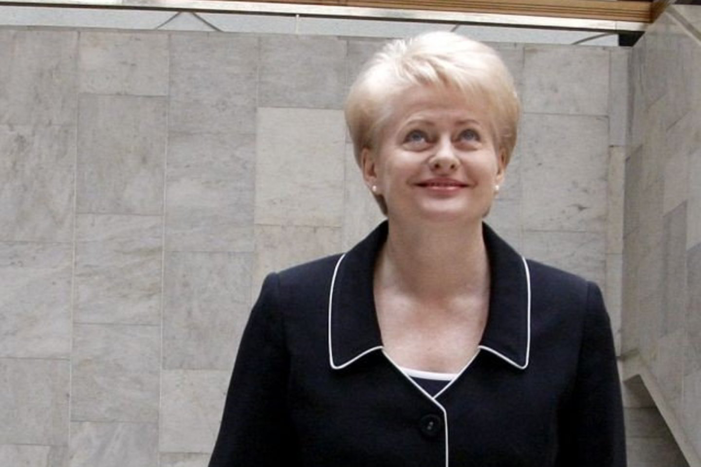 D.Grybauskaitė ragina balsuoti Lietuvos gyventojus.
