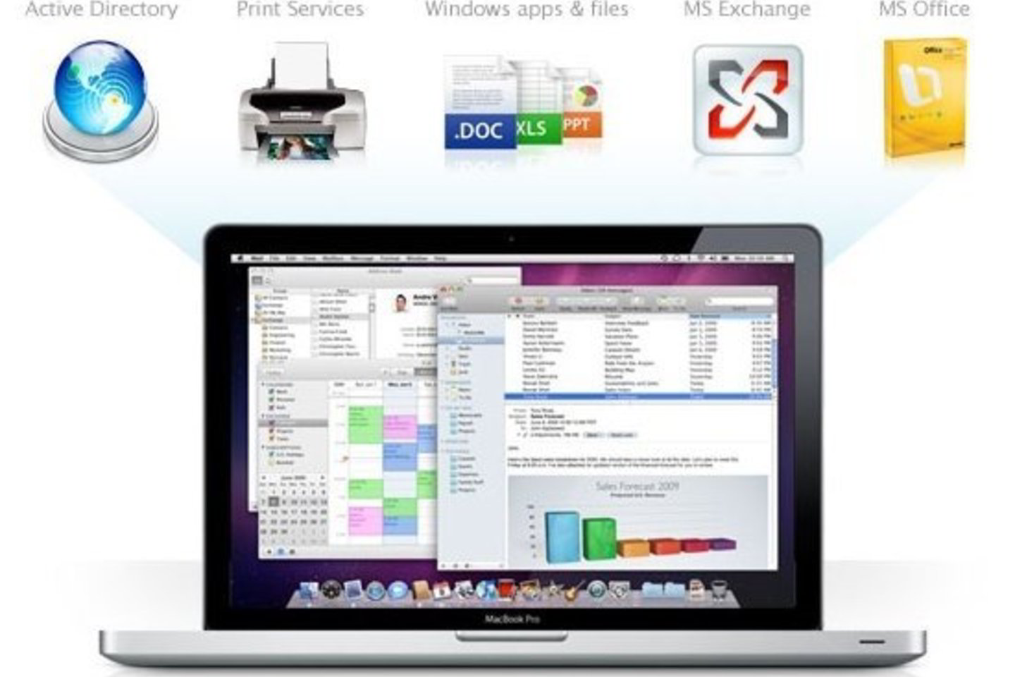 Snieginio leopardo vardu pavadintoje „OS X“ 10.6 „Apple“ numatė daug patobulinimų, tačiau bene svarbiausias – suderinamumas su „Microsoft Exchange“, kurio trūkumas anksčiau kliudė „Apple“ kompiuterių naudojimui verslo rinkoje.