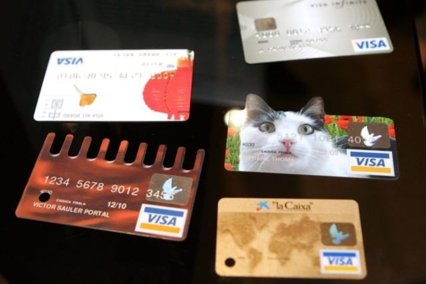 "Visa" iš Latvijos reikalauja daugiau garantijų.