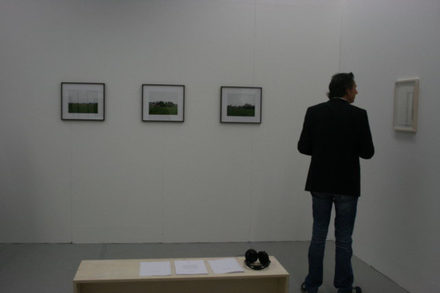 Pirmą kartą šioje parodoje dalyvauja ir galerija iš Lietuvos – „Tulips & Roses“.