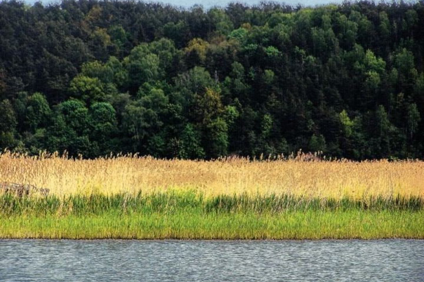 Didžiausioje Arlaviškių ornitologinio draustinio saloje iškirsti krūmai, bet nenukirstos pernykštės nendrės, vis aukštyn stiebiasi žolė. Čia laukiamos avys ir ožiai.