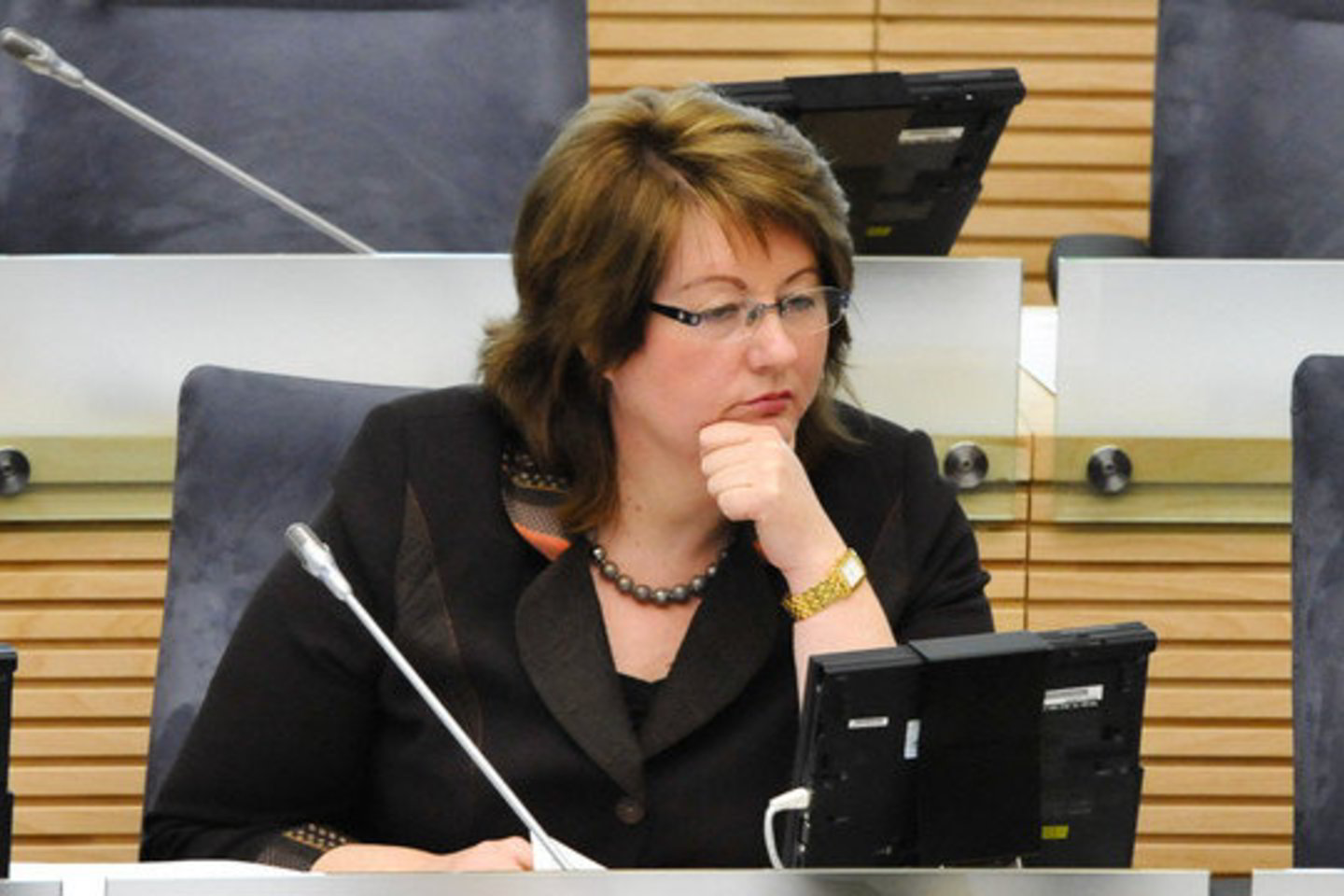 Vilija Blinkevičiūtė galės jėgas išbandyti naujame poste.