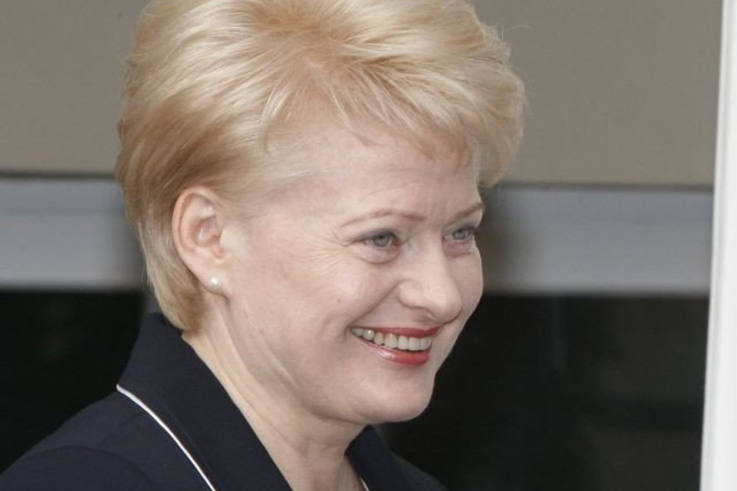 Pasak D.Grybauskaitės, kol kas apie „Sodros“ įmokų didinimą yra tik kalbama, tad nevertėtų šia tema spekuliuoti.