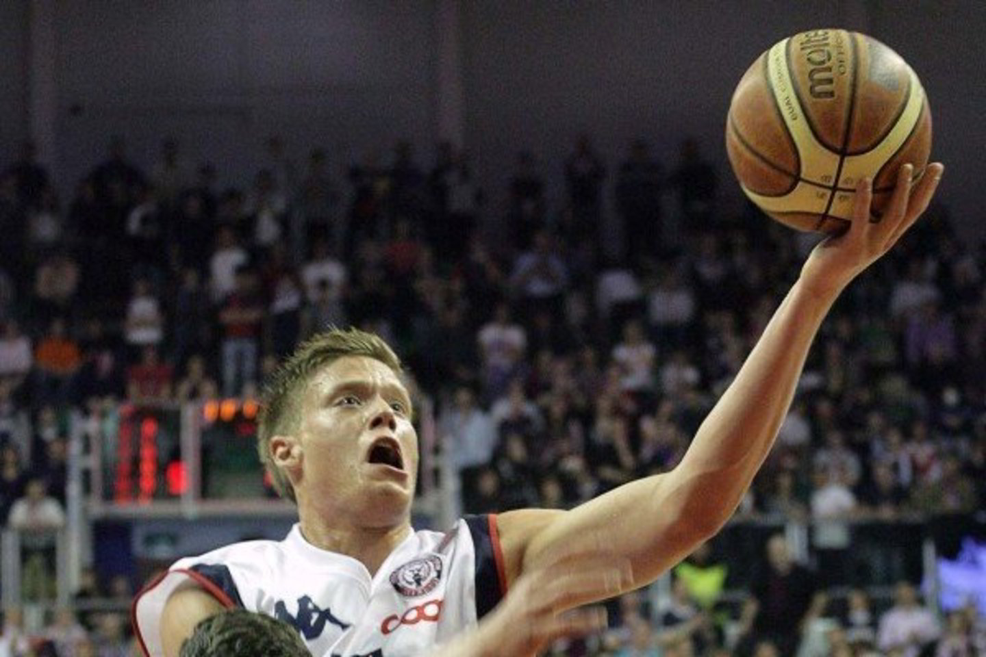 J.Jerebko turi taiklią ranką.