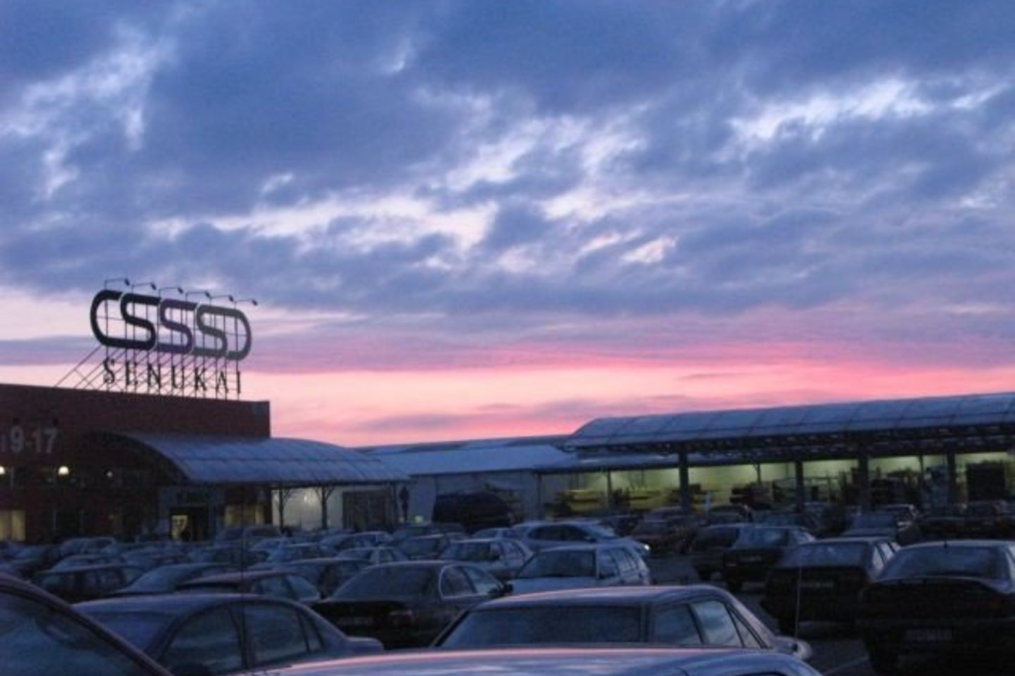 Apsilankymas prekybos centre „Senukai“ lankytojai gerokai apkarto.