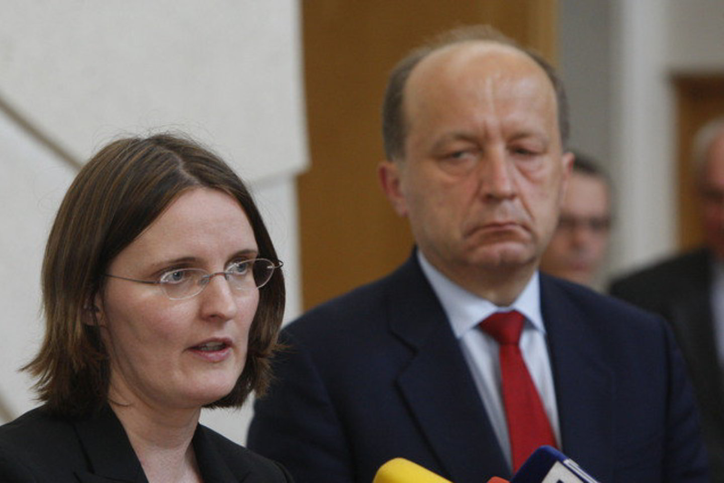 Anot TVF atstovės, dabartinis Lietuvos valiutų valdybos modelis yra tinkamas, bet reikia tęsti reformas, norint jį išlaikyti.