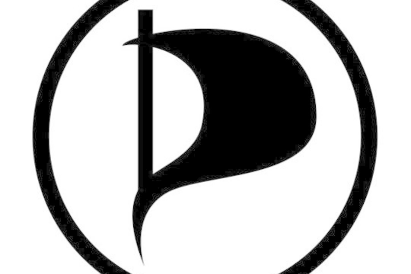 Vokietijos parlamentaras nusprendė palikti valdančiąją partiją ir prisijungti prie Piratų partijos, kurios Švedijos atšaka neseniai gavo vieną mandatą Europos parlamente.