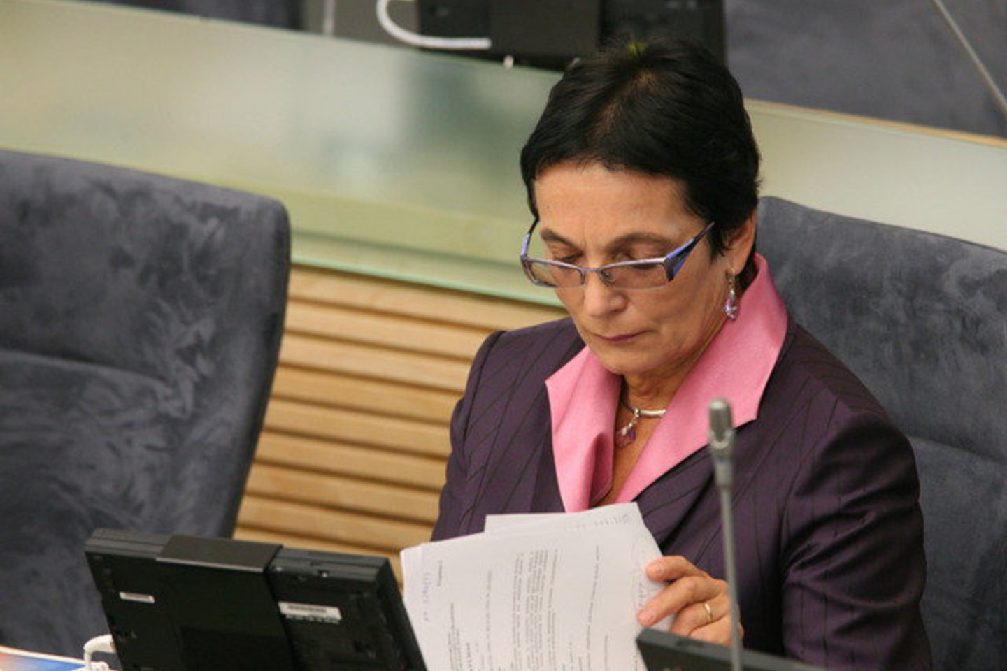 M.A.Pavilionienė grįžta į Seimą.
