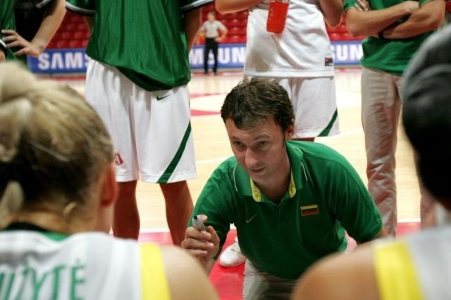 R.Paulauskas: "Europos čempionate mums reikėjo žaisti su visomis elitinėmis komandomis".