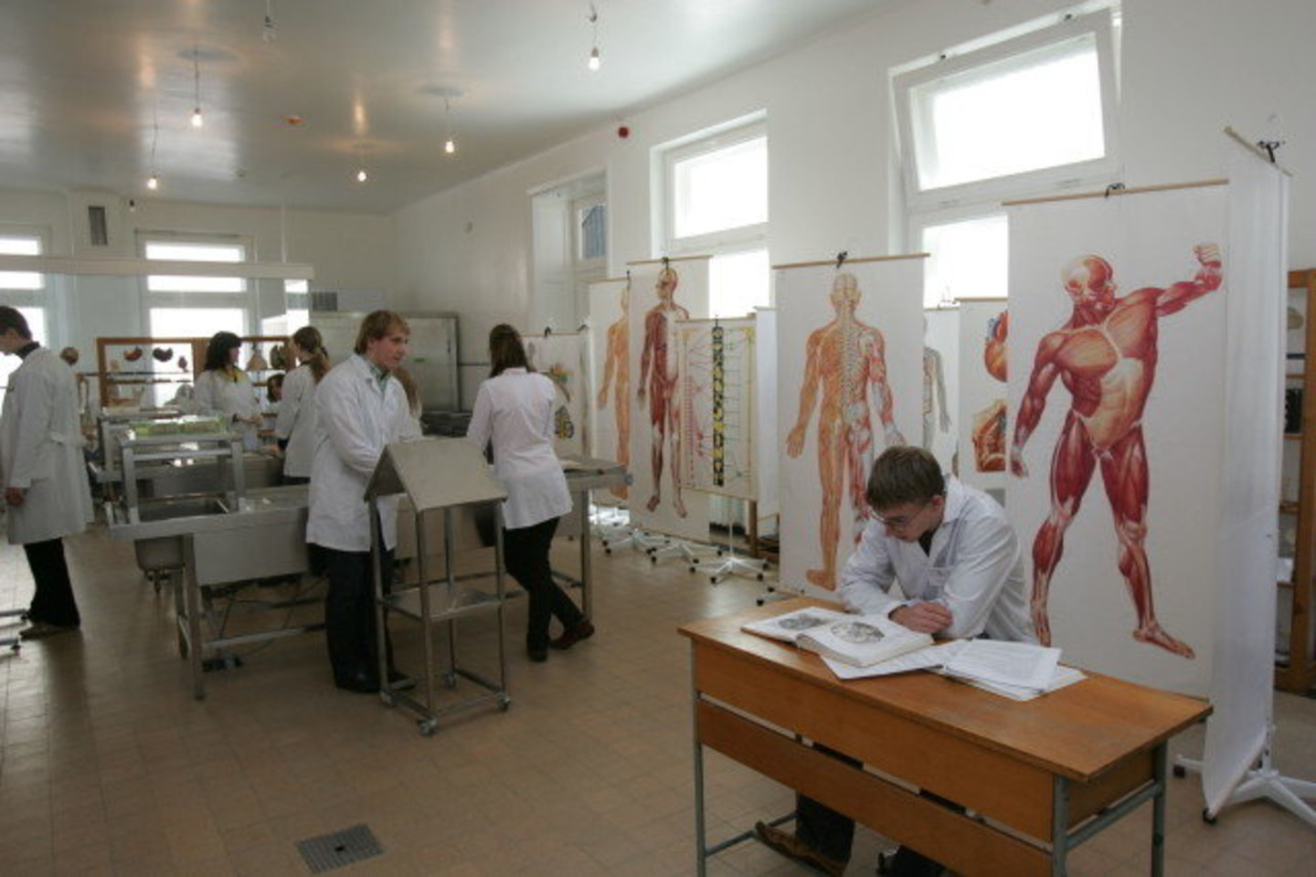 Didžiąją dalį visų programų lėšų mokslui numatoma sutelkti keturiems sektoriams plėtoti: gamtos išteklių ir žemės ūkio, biomedicinos ir biotechnologijos, medžiagų mokslo, fizikinių ir cheminių technologijų, inžinerijos ir informacinių technologijų.