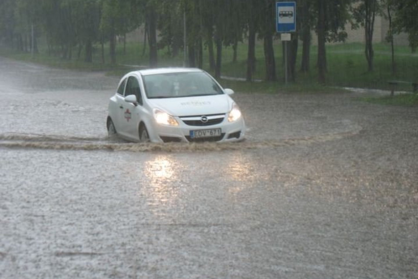 Liūtis apsėmė keletą Jonavos gatvių.