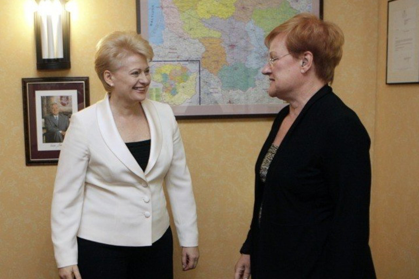 T.Halonen pakvietė D.Grybauskaitę prisijungti prie Pasaulio moterų lyderių organizacijos, kuriai vadovauja Suomijos vadovė.