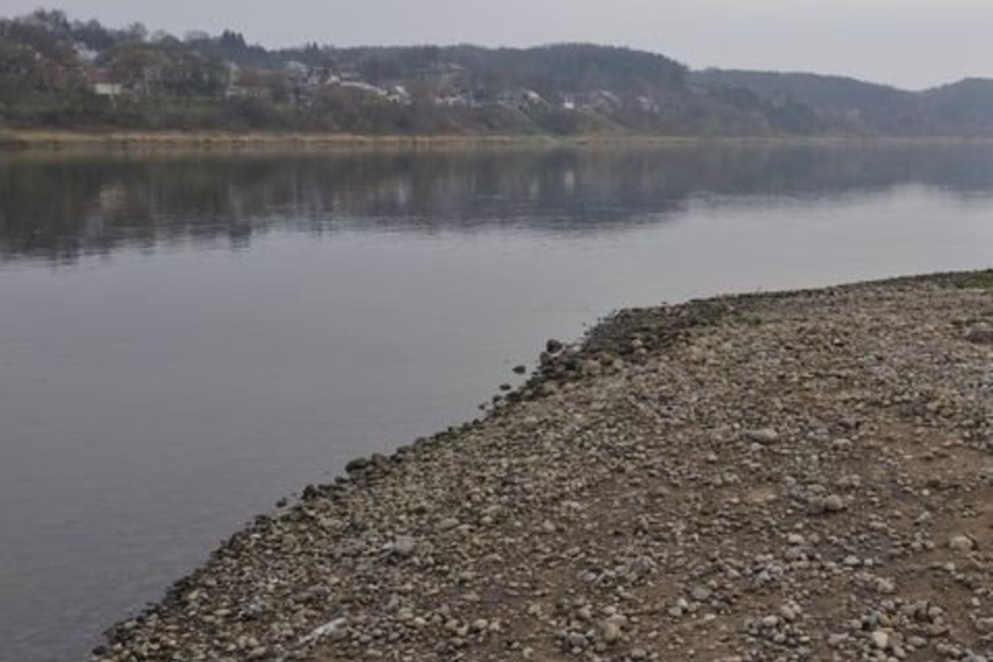 Poilsiautojai Nemuno pakrantėje rado šiurpų radinį.