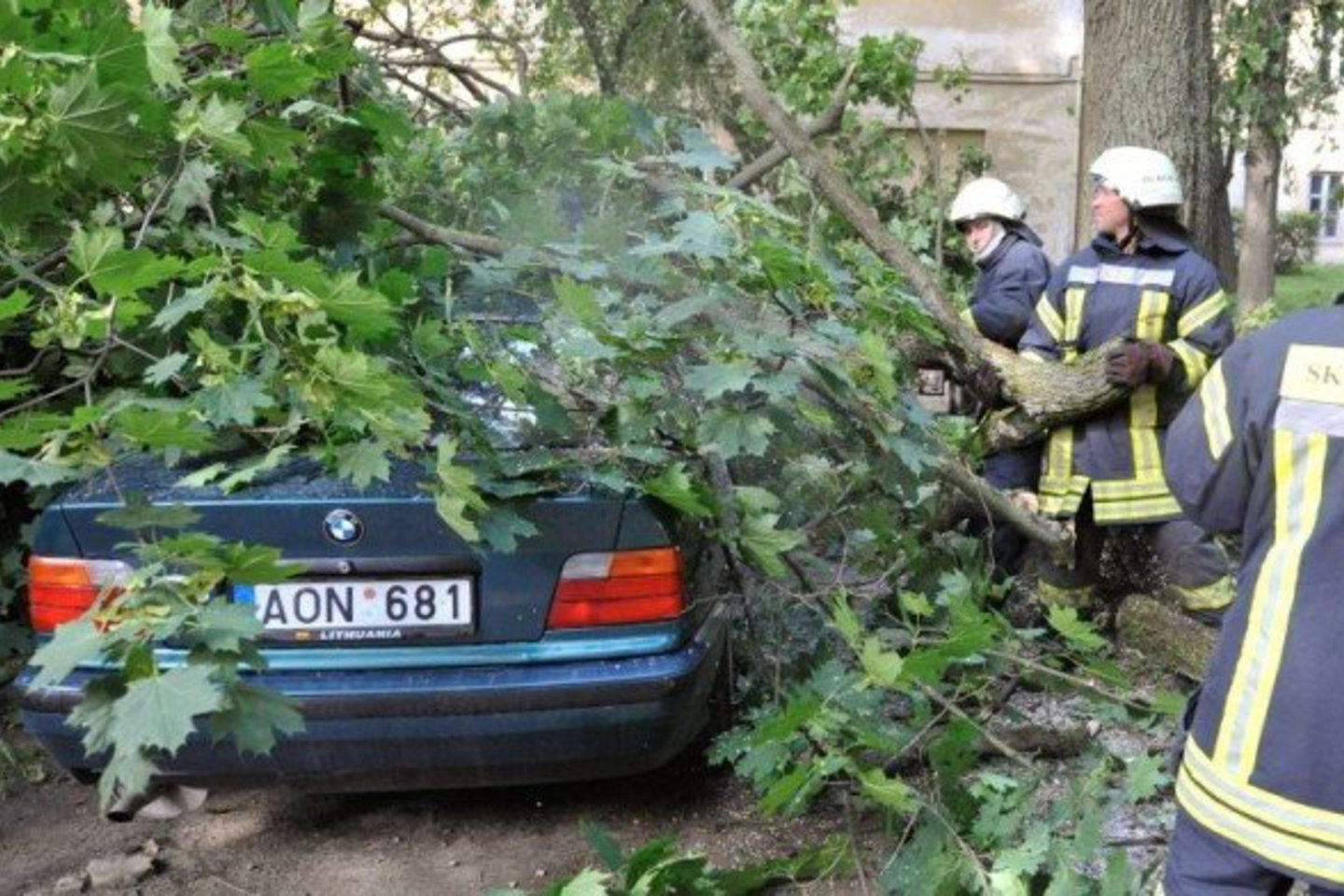 Vilniuje nuvirtę medžiai apgadino automobilius.