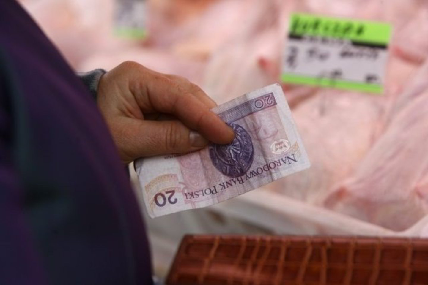 Lenkijos zlotą įkvėpė geros žinios apie pasaulio ekonomikos atsigavimą ir valdžios pasiryžimas pradėti prisijungimą prie euro zonos.