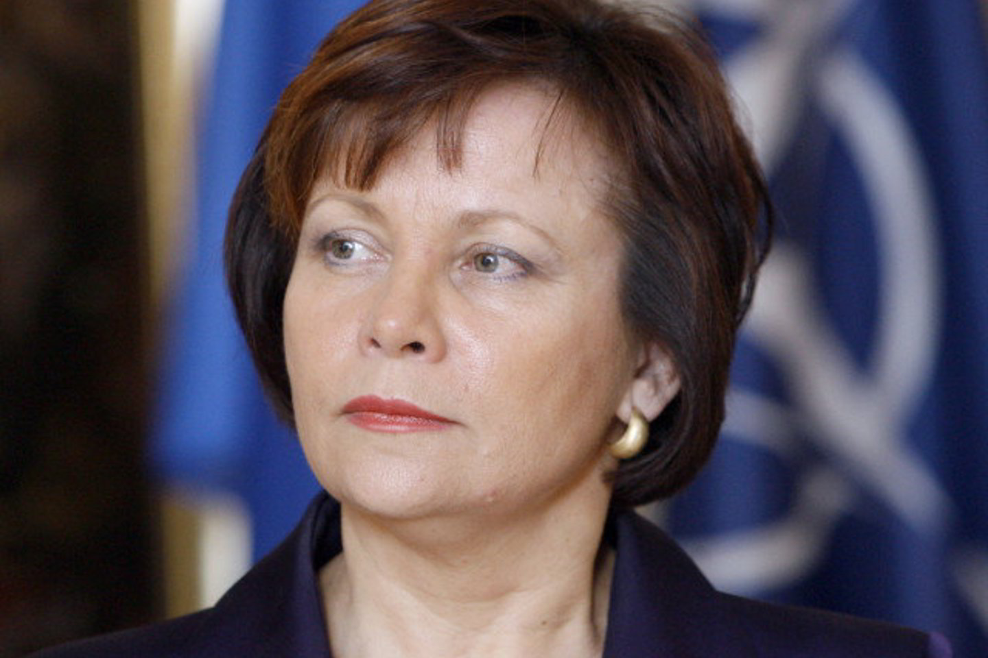 Krašto apsaugos ministrė R.Juknevičienė tikina, kad biudžeto karpymas gali sukelti grėsmę nacionaliniam saugumui.