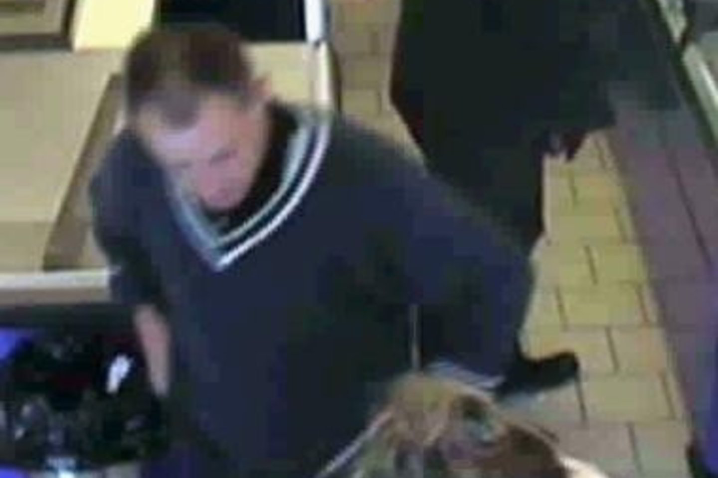 Policija išplatino prekybos centrų kamerų užfiksuotus vagišių veidus.