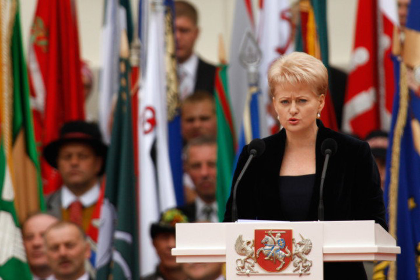 D.Grybauskaitės teigimu, Lietuva turi siekti narystės euro zonoje, tačiau prezidentė neminėjo konkrečių datų, kada tai galėtų nutikti.