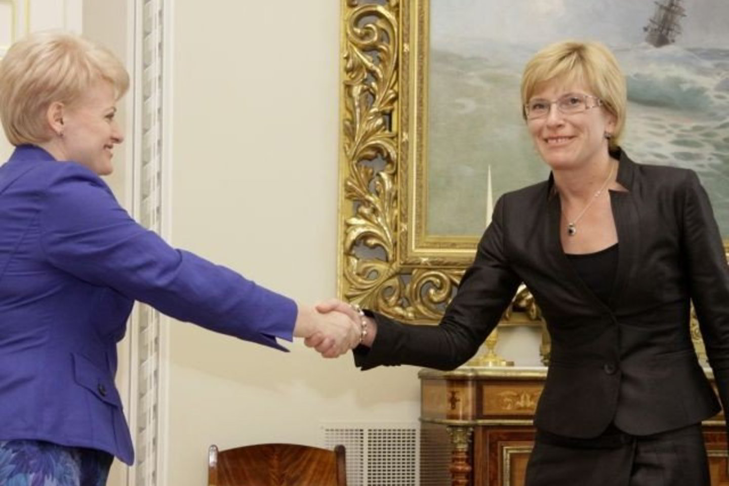 D.Grybauskaitė tikisi, kad I.Šimonytės profesionalumas padės išspręsti problemas.