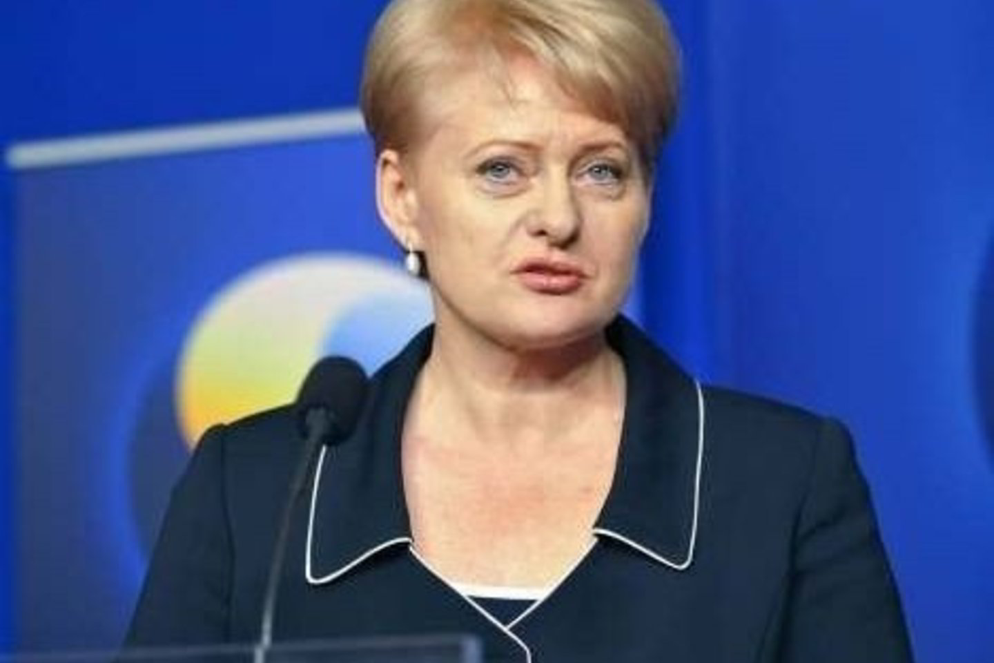 D.Grybauskaitė atsakinėjo į žurnalistų klausimus Stokholme.