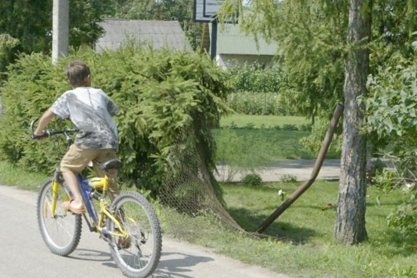 Motociklas pramušė tvorą, nukirto medį ir įlėkęs į kiemą apsivertė.