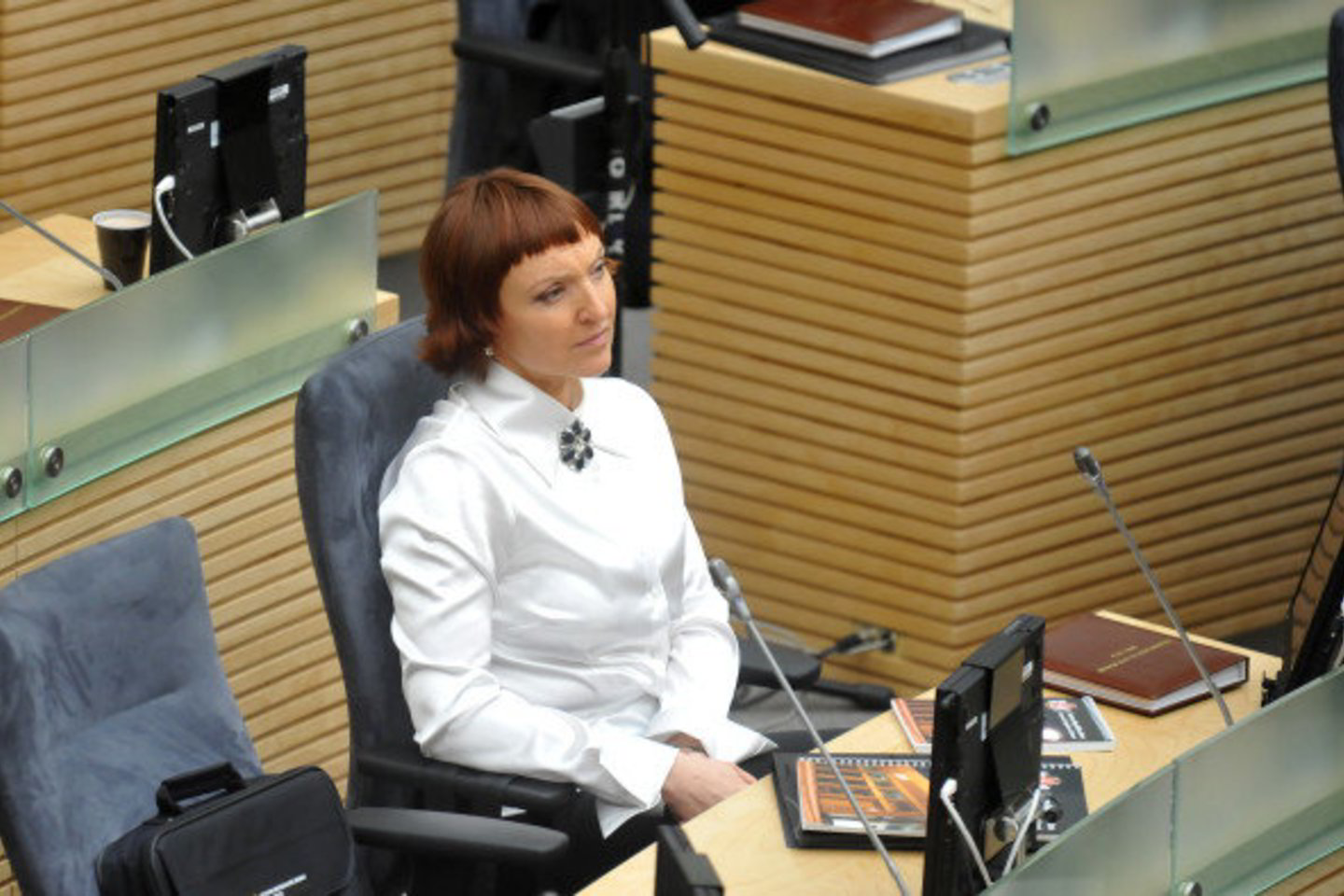 A.Baukutė tikina nesusigaudanti mokesčių schemose.