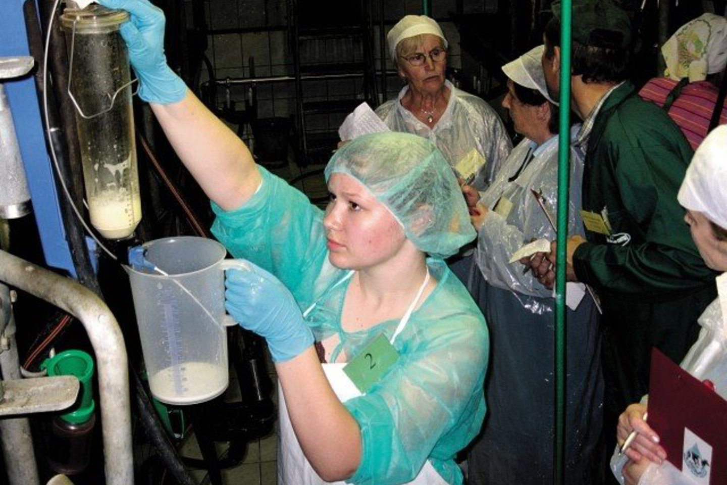 Penkiolikmetė Lina Razmaitė – didžiausio rajone pienininkystės ūkio savininkų duktė, konkurse užėmė trečiąją vietą.