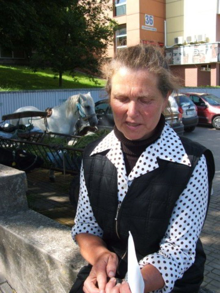 Ūkininkė I.Liniauskienė prie savivaldybės piketavo su savo gyvuliais.