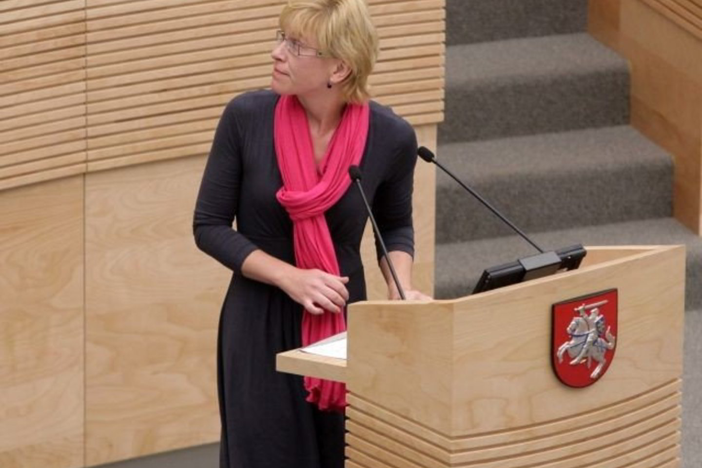 Įstatymą pristatė finansų ministrė I.Šimonytė.