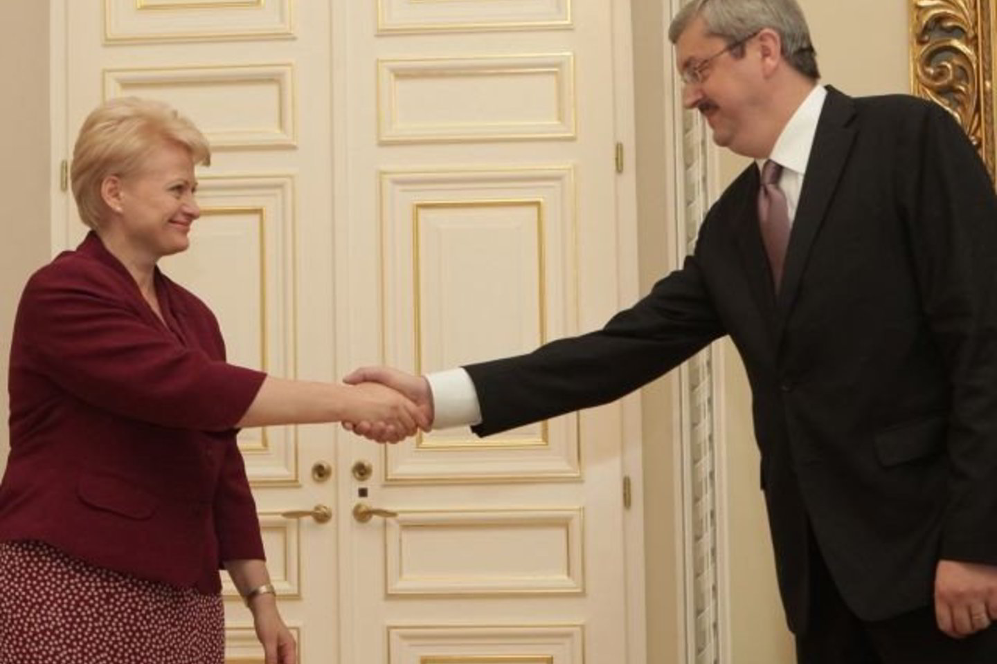 D.Grybauskaitė priėmė A.Siaurusevičių.