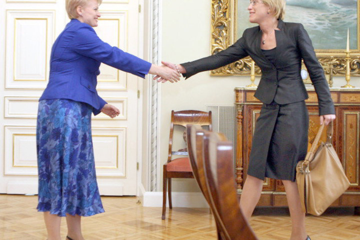 D.Grybauskaitė per susitikimą su finansų ministre I.Šimonyte vilkėjo dviejų dalių melsvų atspalvių kostiumėlį. Šis rūbas parodė, kad prezidentė gali būti ne tik dalykiška, bet ir romantiška.