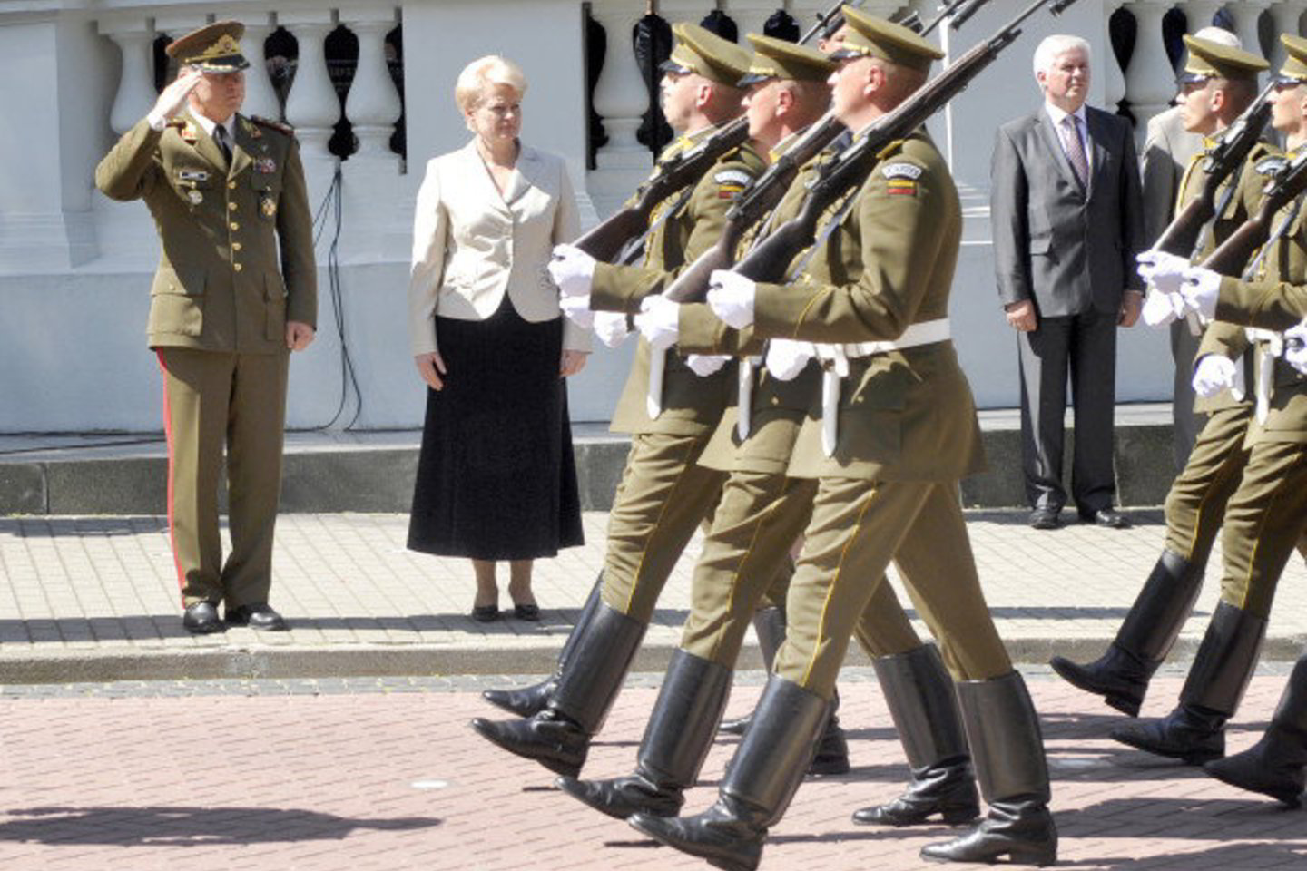 D.Grybauskaitės įsitikinimu, maža valstybė gali galvoti apie mišrias ginkluotąsias pajėgas.