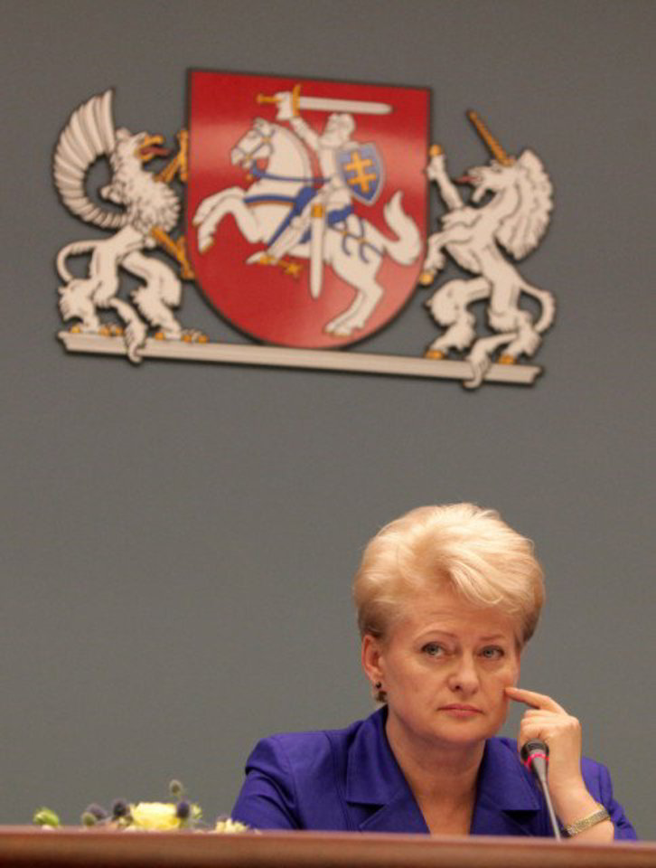 „Man labai svarbu, kokios kyla rizikos Lietuvos žmonėms ir valstybei, priėmus tokį žmogų“, - akcentavo D.Grybauskaitė.