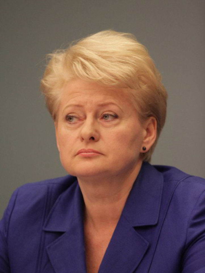 D.Grybauskaitė: "Kol Lietuva gali refinansuoti savo skolą, tol kreiptis į TVF nereikia".
