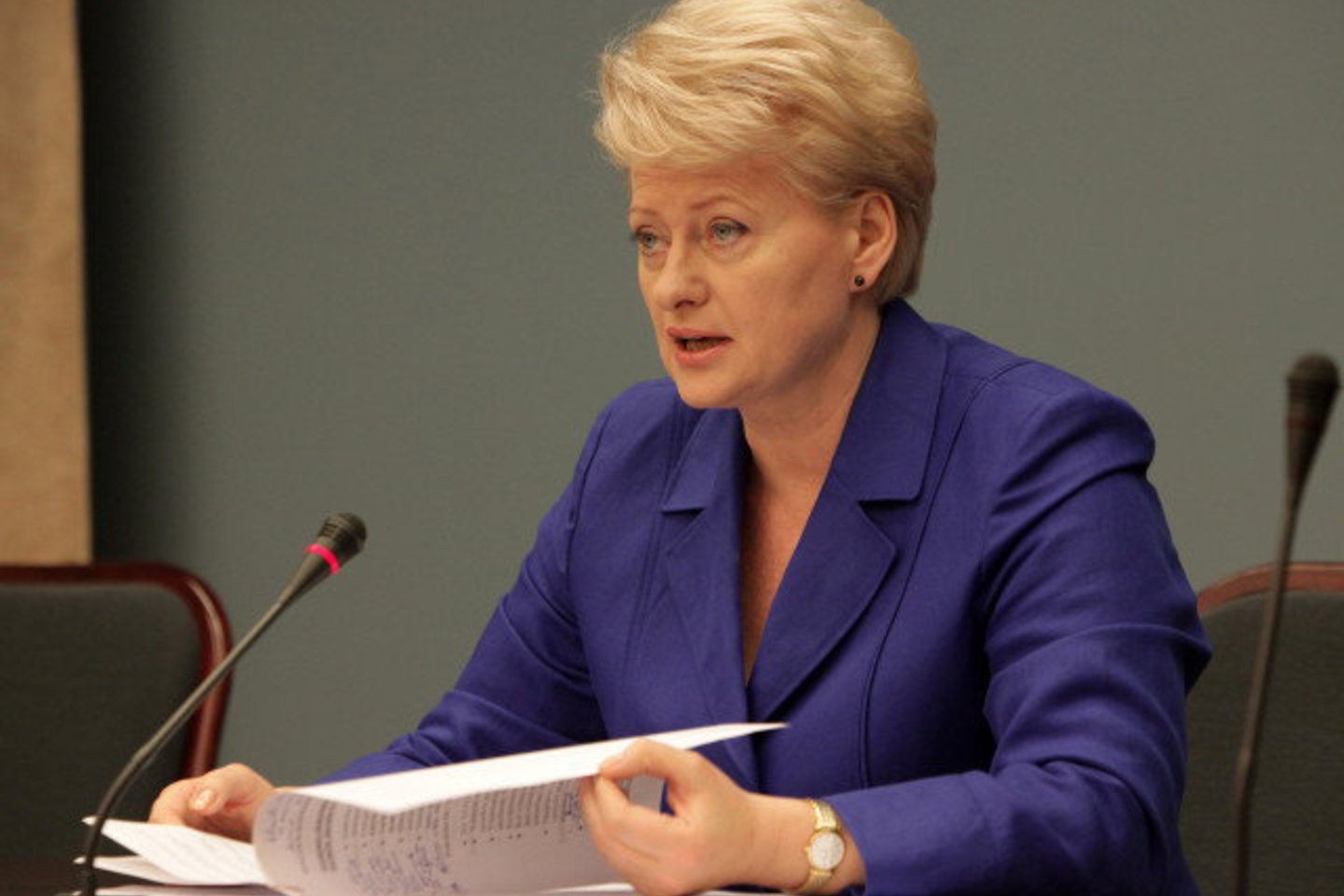 „Atsivėrė vartai tiek, kad daryti galima ką nori“, - sakė D.Grybauskaitė ketvirtadienį per spaudos konferenciją.