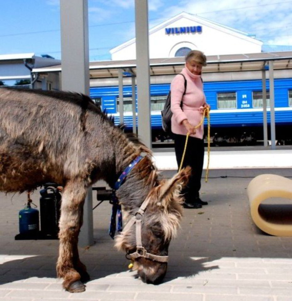 Asilas kuklus, bet aktyvus ir pilietiškas, tad žada būti dažnas svečias ir kitose LNK laidose.