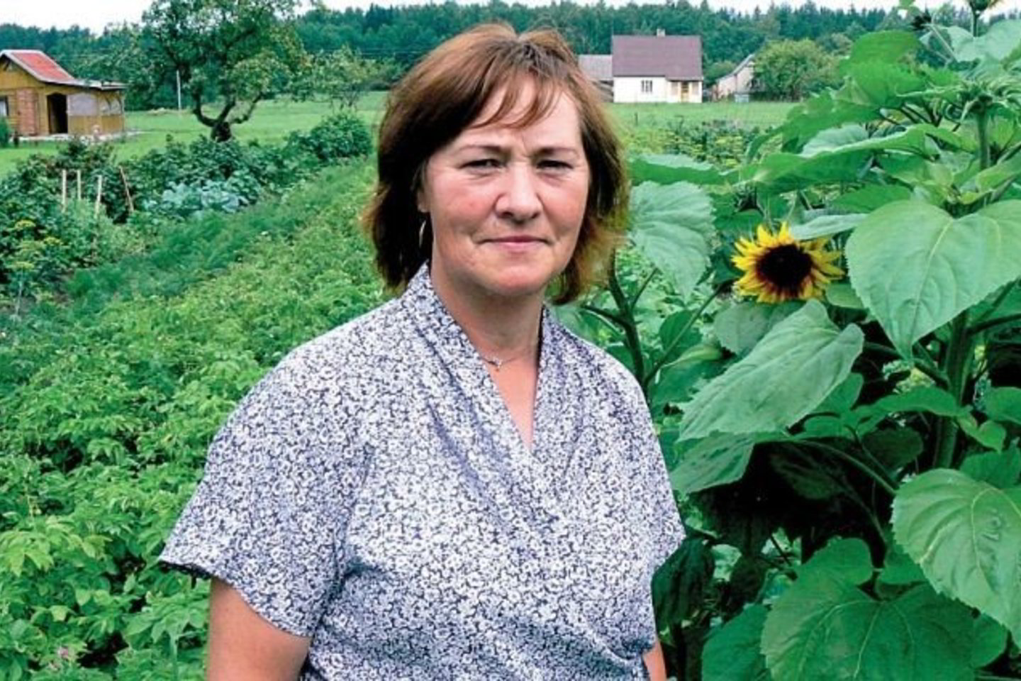 Stasė Misevičienė sako, jog iš Viešvilės gamtinio rezervato elniai į sodiečių daržus ateina bandomis.