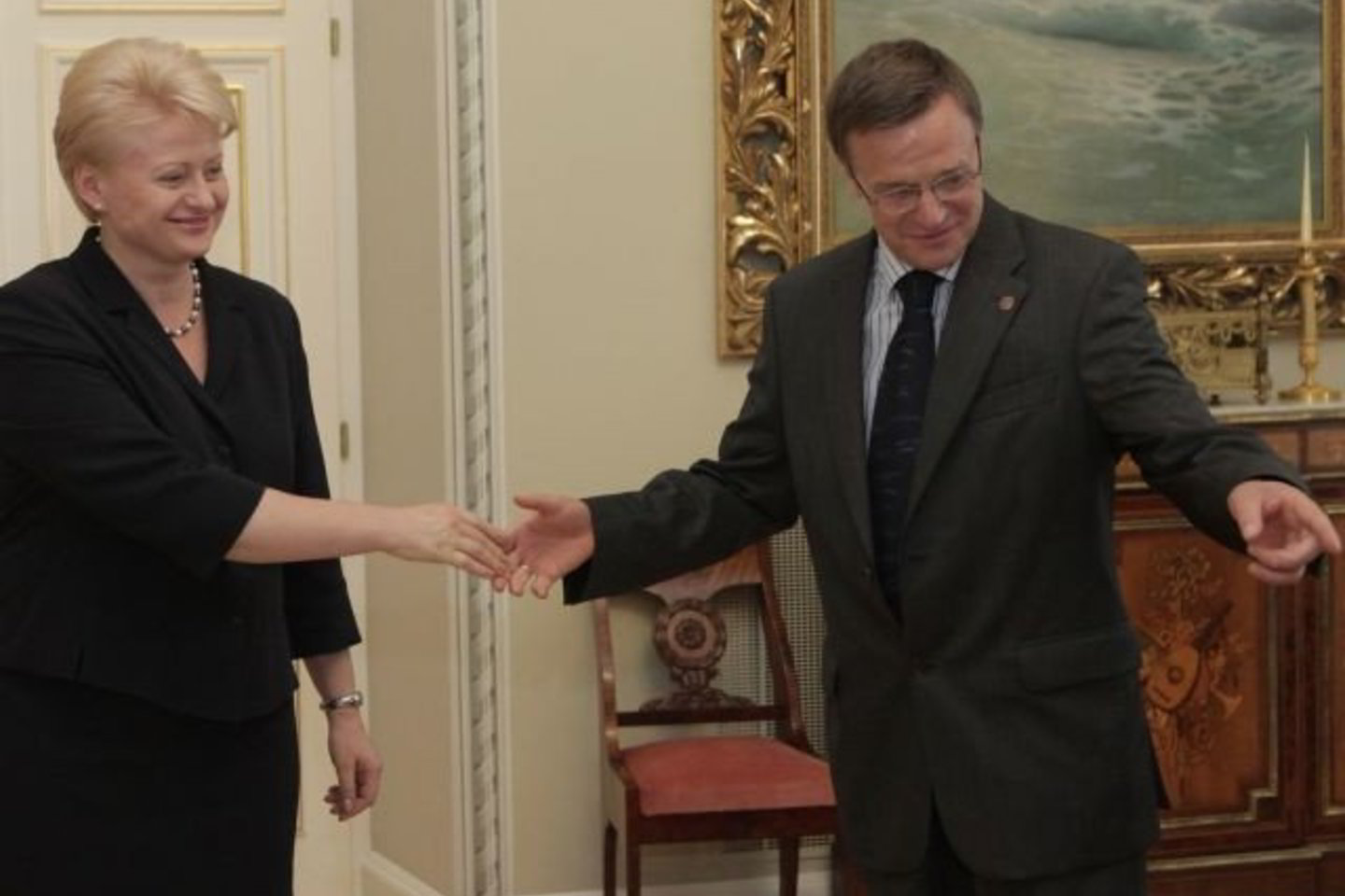 Kultūros ministras R.Vilkaitis susitiko su prezidente D.Grybauskaite.